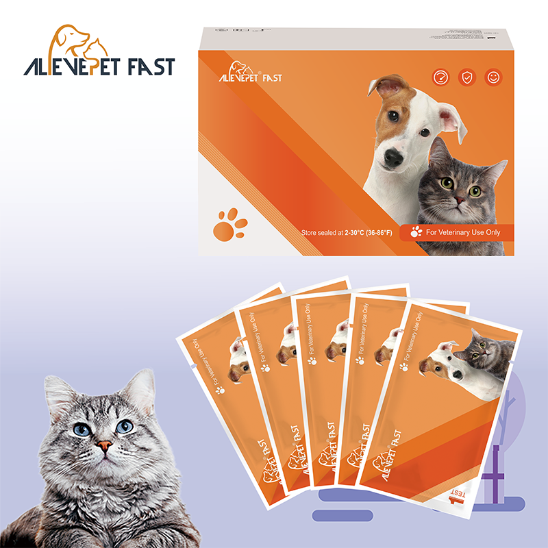 HP Rapid Test Kit suppliers